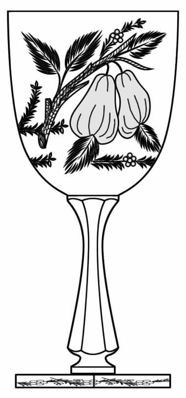 Gravic Fruits Water Goblet by Hawkes-1