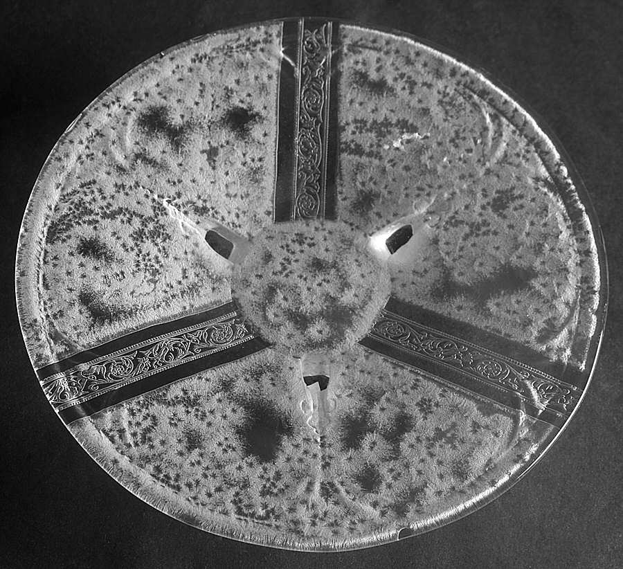 Antarctic 8" 3-Toed Plate by Heisey-1
