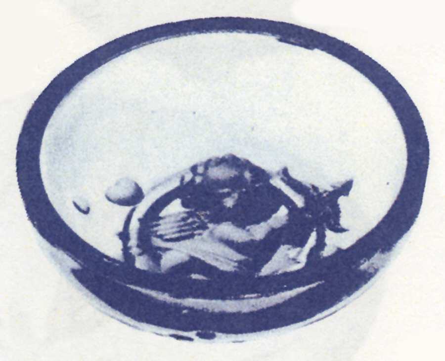 Verlys Clear Cupidon Bowl by Heisey-1