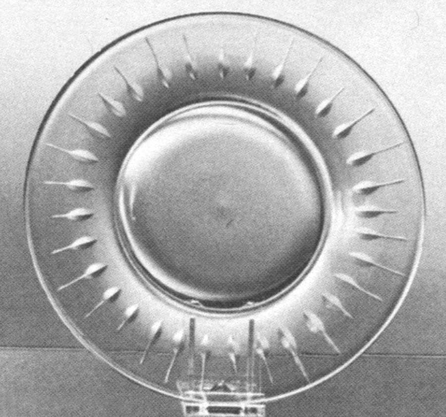 Nobility Clear Luncheon Plate by Imperial Glass-Ohio-1
