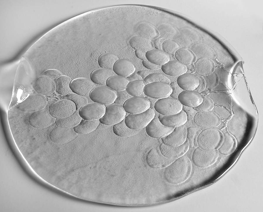 Grape 12" Round Cheese Plate by Kosta-Boda-1