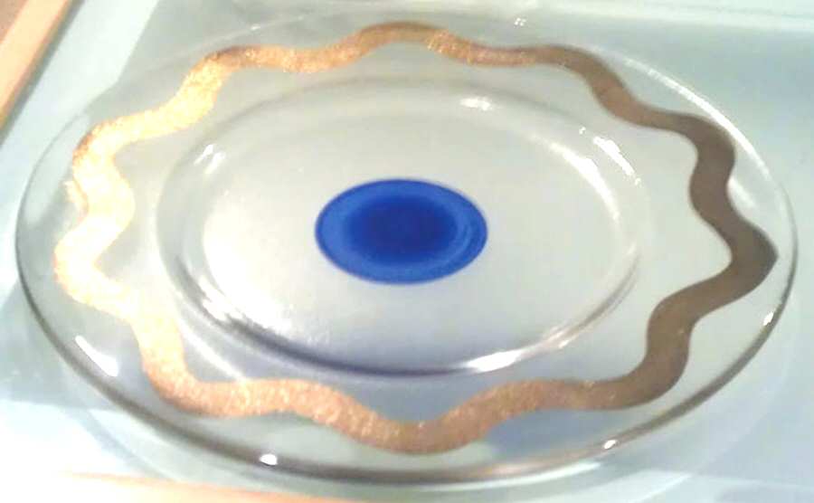Cosmos 12" Chop Plate by Kosta-Boda-1