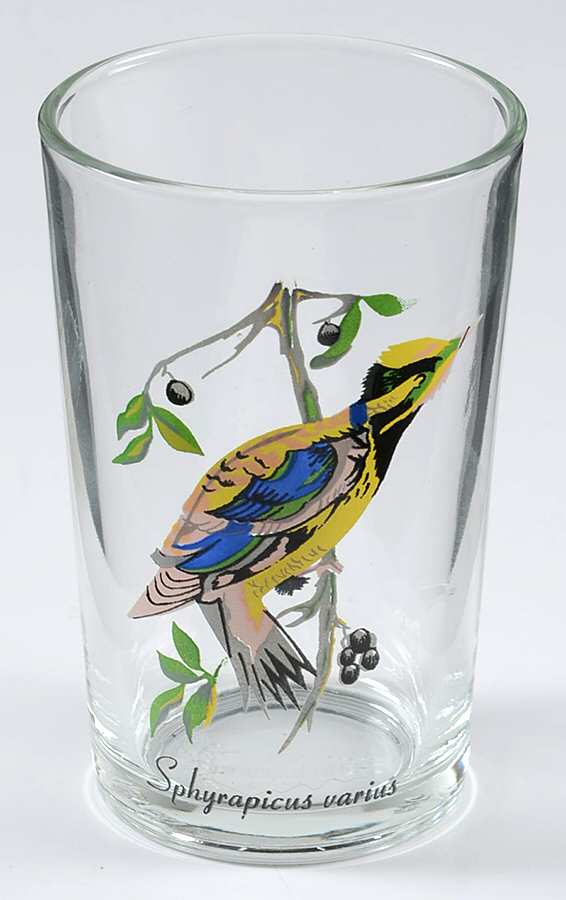 Exotic Bird 7 Oz Flat Tumbler by Kig (Indonesia)-1