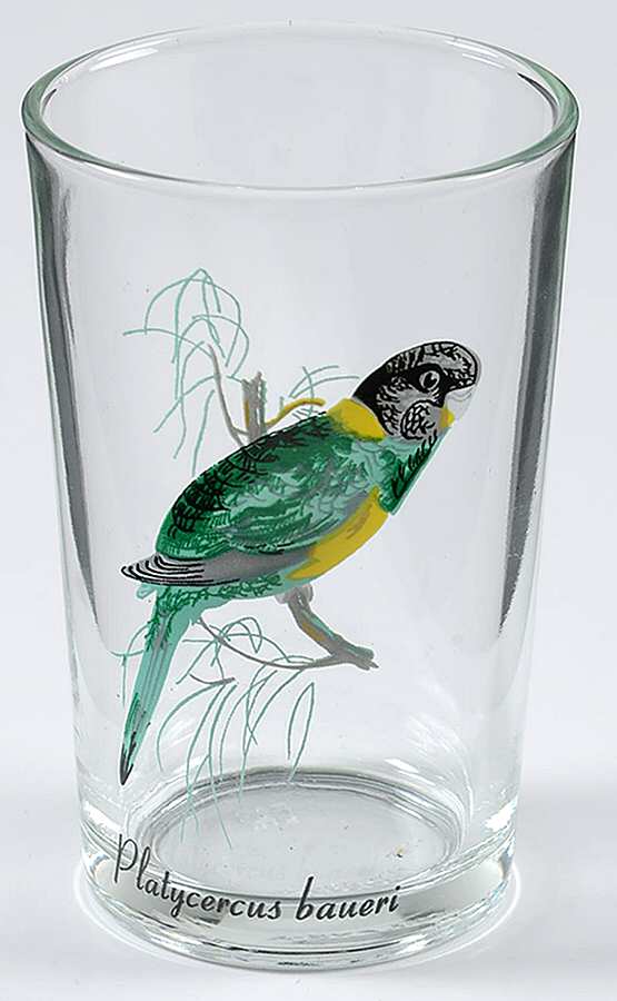 Exotic Bird 7 Oz Flat Tumbler by Kig (Indonesia)-1