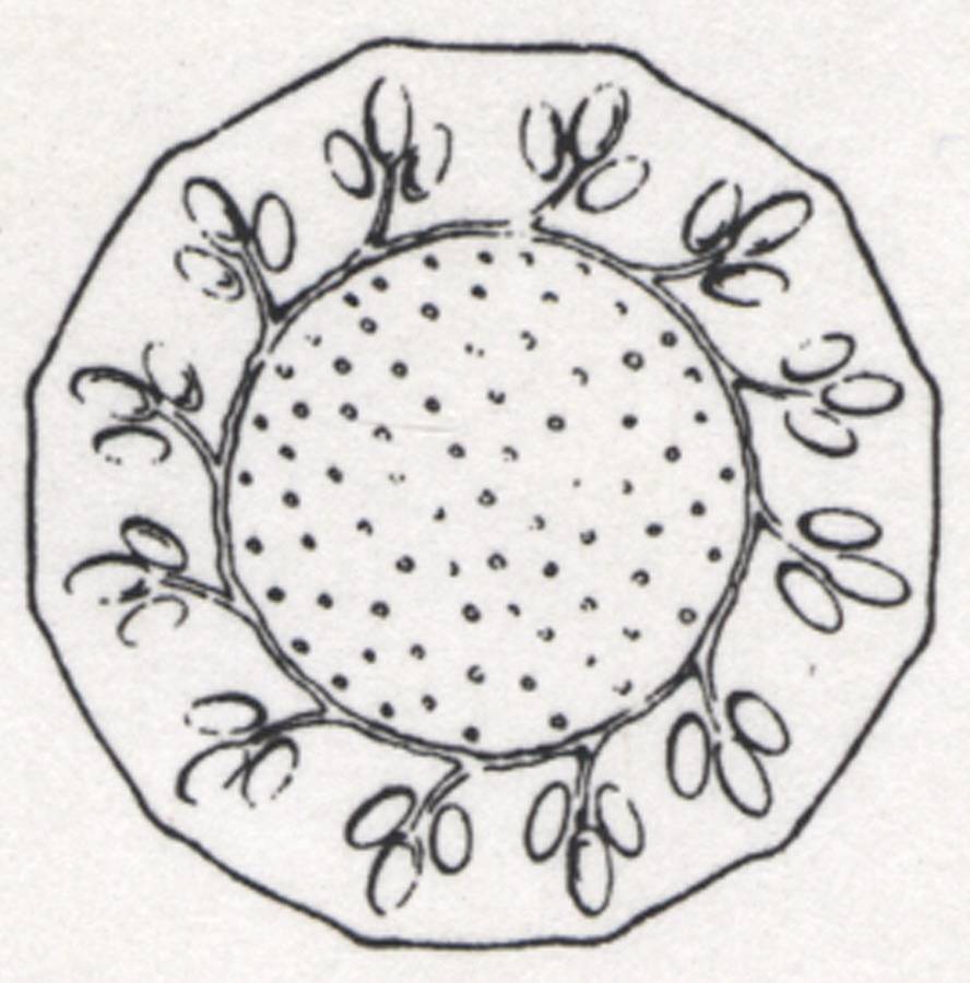 Boda Anna Dinner Plate by Kosta-Boda-1