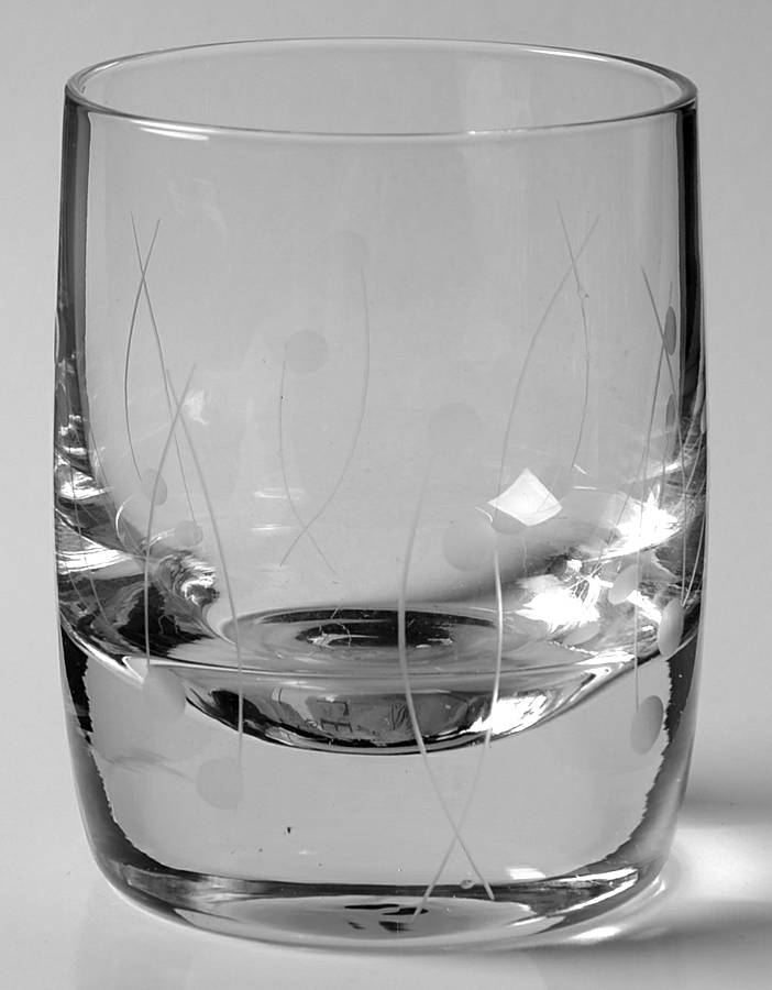 Assorted Graphics Double Old Fashioned by Lenox-1