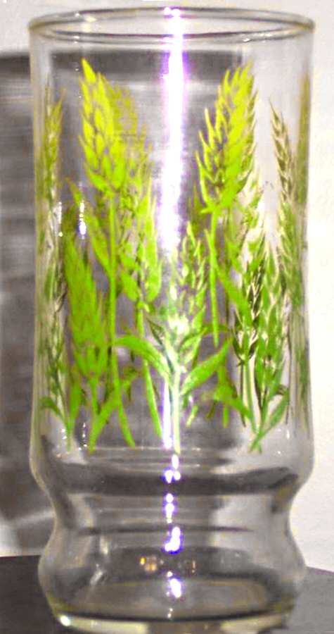 Spring Wheat 12 Oz Flat Tumbler by Libbey Glass Company-1