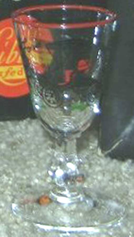 Horseless Carriage Cordial Glass by Libbey Glass Company-1