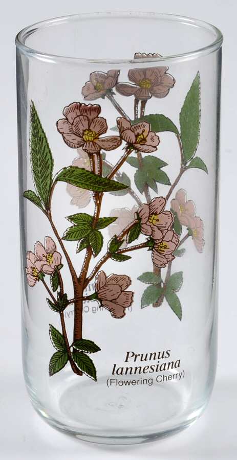 LRS198 12 Oz Flat Tumbler by Libbey Glass Company-1
