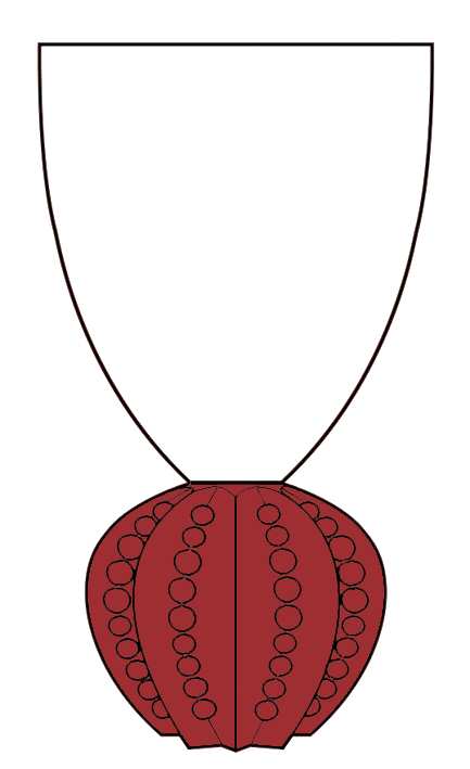 Royal Crown Ruby Water Goblet by Mikasa-1