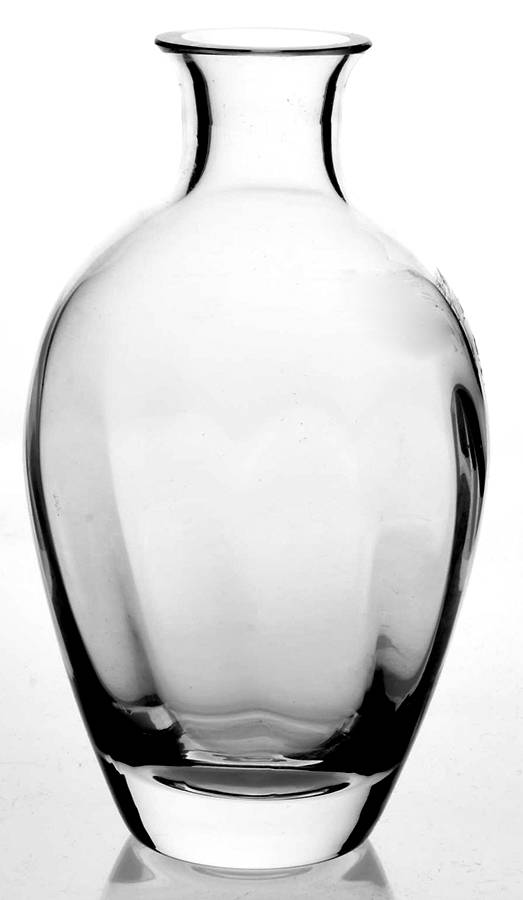 Stephanie Vinegar No Stopper by Mikasa-1
