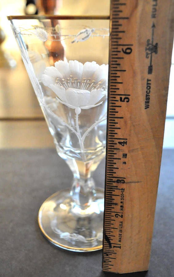 Paula (Knob Stem) Water Goblet by Moser-1