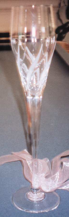 Social Circle Fluted Champagne by Mikasa-1