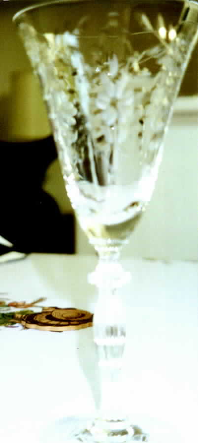 7690-12 Water Goblet by Morgantown-1