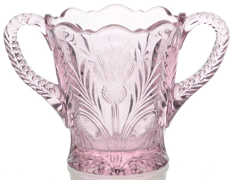 Inverted Thistle Light Pink (Rose) Open Sugar by Mosser (Ohio)-1