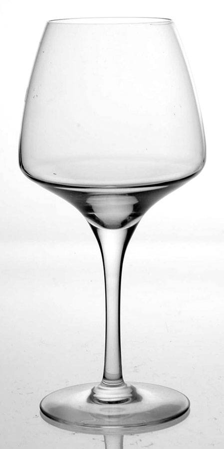 Open Up Tasting Glass by Mikasa-1