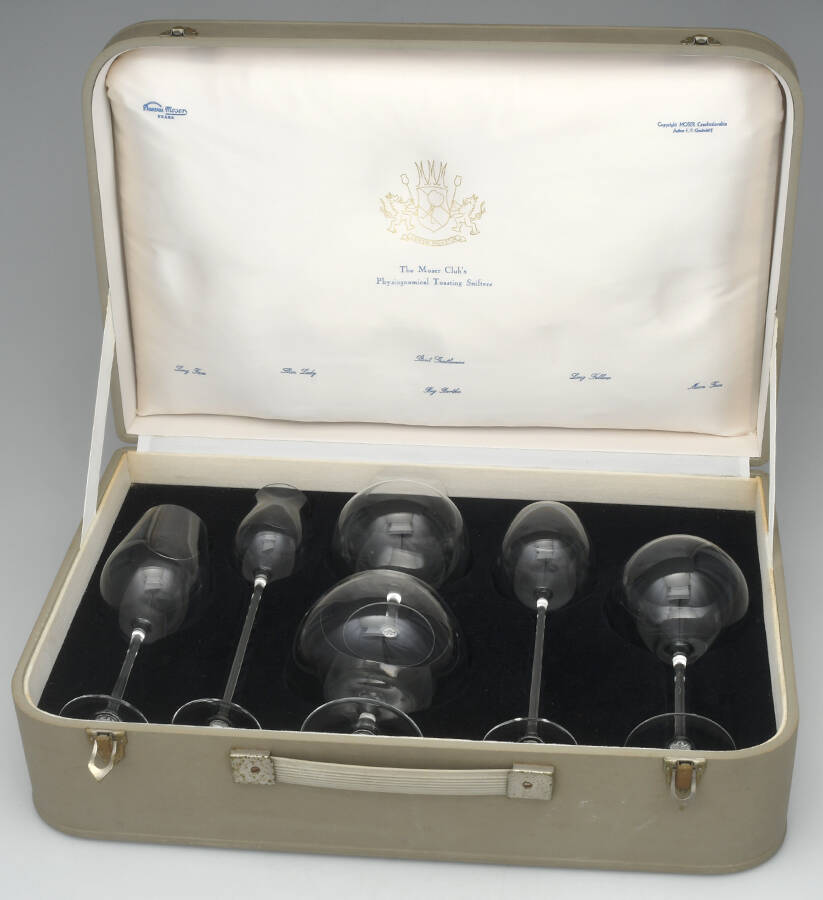Moser Club's Physiognomical Snifters 6 Piece Toasting Snifter Set in Case by Moser-1