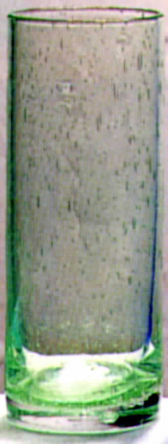 Bubble Glass Green Cooler by Puccinelli-1