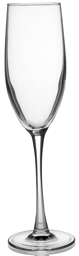 Caterer's Stemware Fluted Champagne by Pottery Barn-1