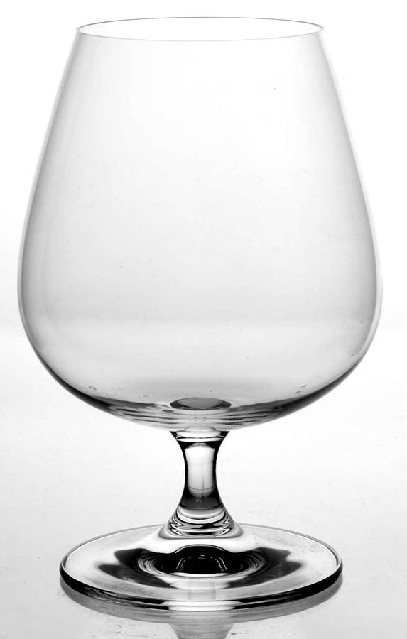 Vinum Brandy Glass by Riedel Crystal-1