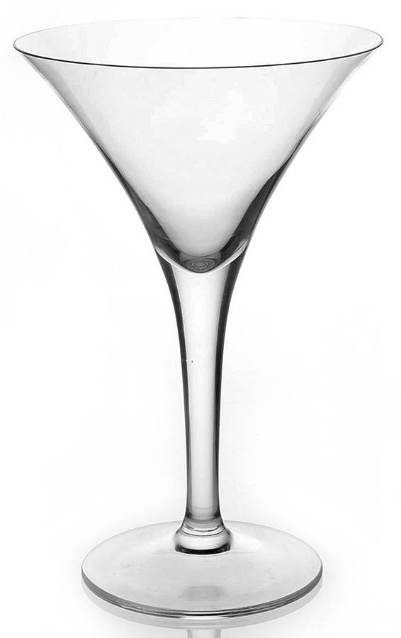Fusion Ice Martini Glass by Royal Doulton-1