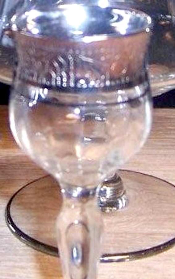Rambler Rose (Platinum Encrusted) Cordial Glass by Ransgil-1