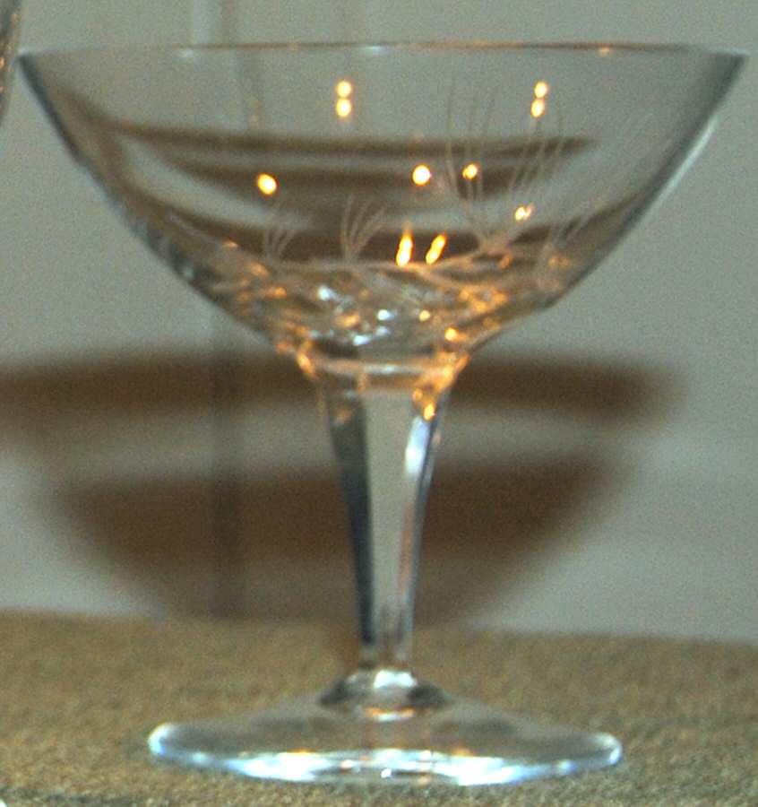 Pine Needles (Stem 460) Champagne/Tall Sherbet by Rosenthal-1