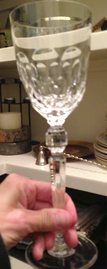 RDL39 Water Goblet by Riedel Crystal-1