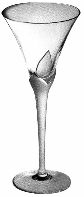 Vogue Water Goblet by Schott-Zwiesel-1
