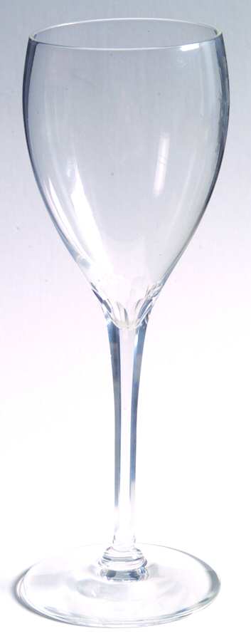 Cosmopolitan Champagne Tulip by Tiffany-1