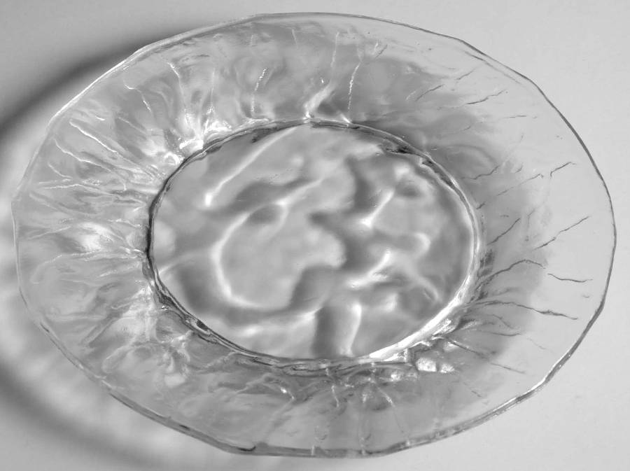 Driftwood Clear Luncheon Plate by Seneca-1