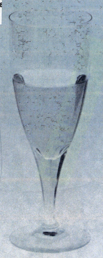 Ultra Beer Glass by Seneca-1