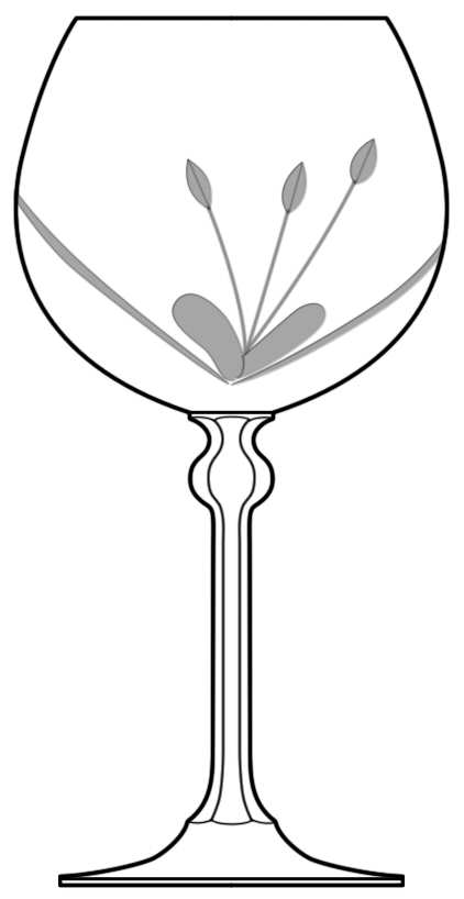 Venezia Water Goblet by Spiegelau-1