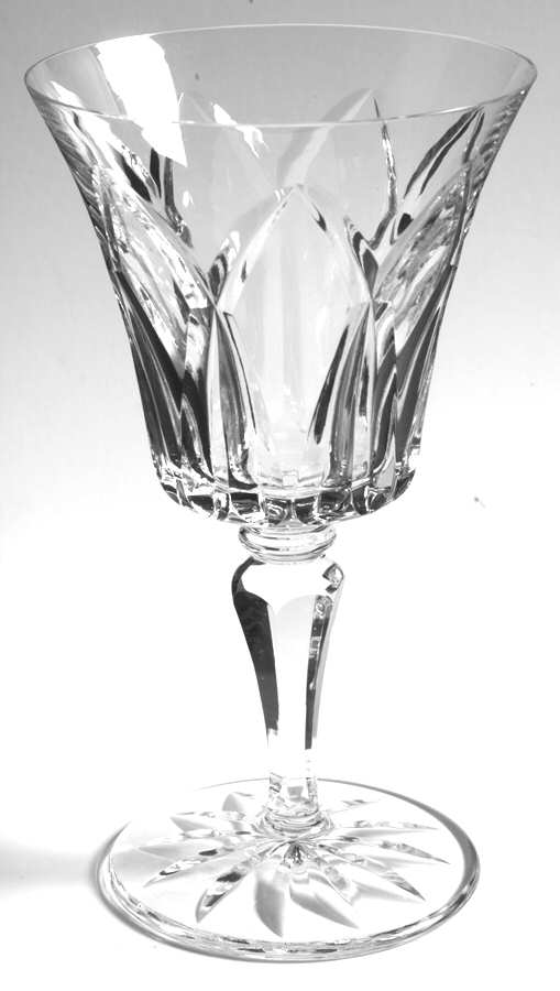 Camargue (Cut) Water Goblet by St Louis-1