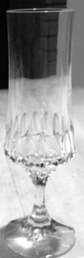 Tosca Fluted Champagne by Schott-Zwiesel-1