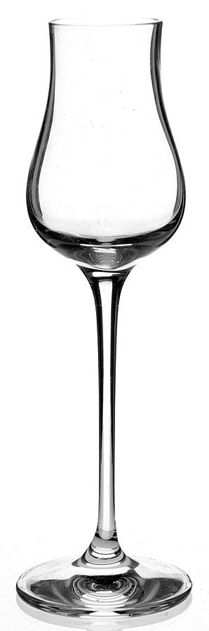 Festival Digestif by Spiegelau-1