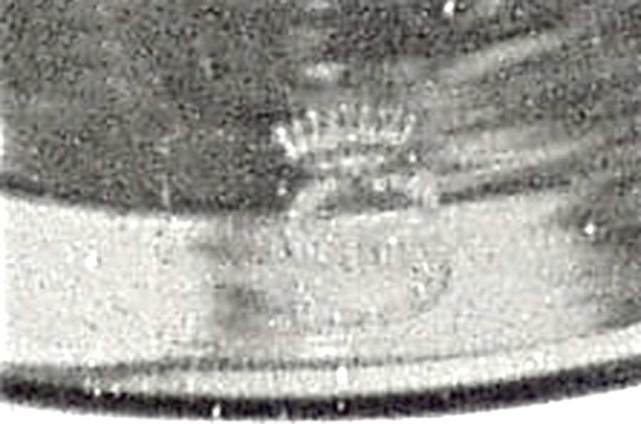 SPI44 Wine Glass by Spiegelau-1