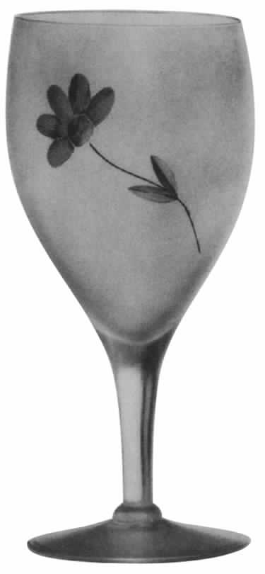 Cut 340 Water Goblet by Tiffin-Franciscan-1