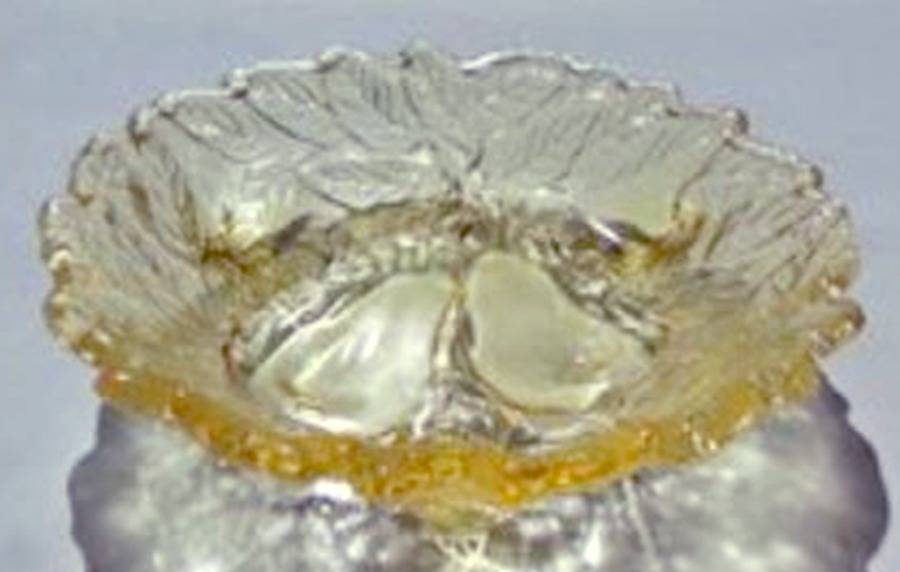 Sweet Pear Yellow 6" 3-Toed Footed Bowl by Tiara-1