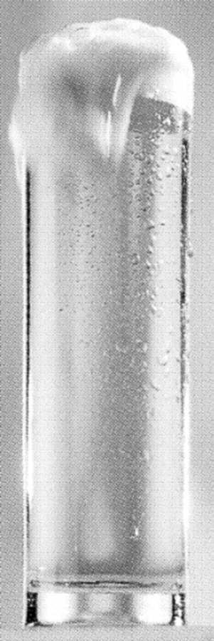 Beer Series Beer Glass by Thomas-1