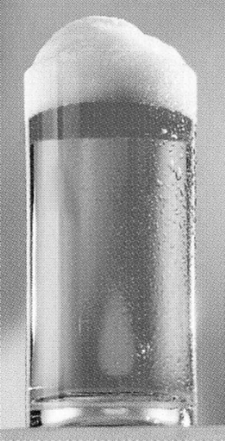 Beer Series Beer Glass by Thomas-1