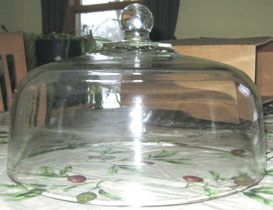 Victoria Dome for Cake Plate by Toscany-1