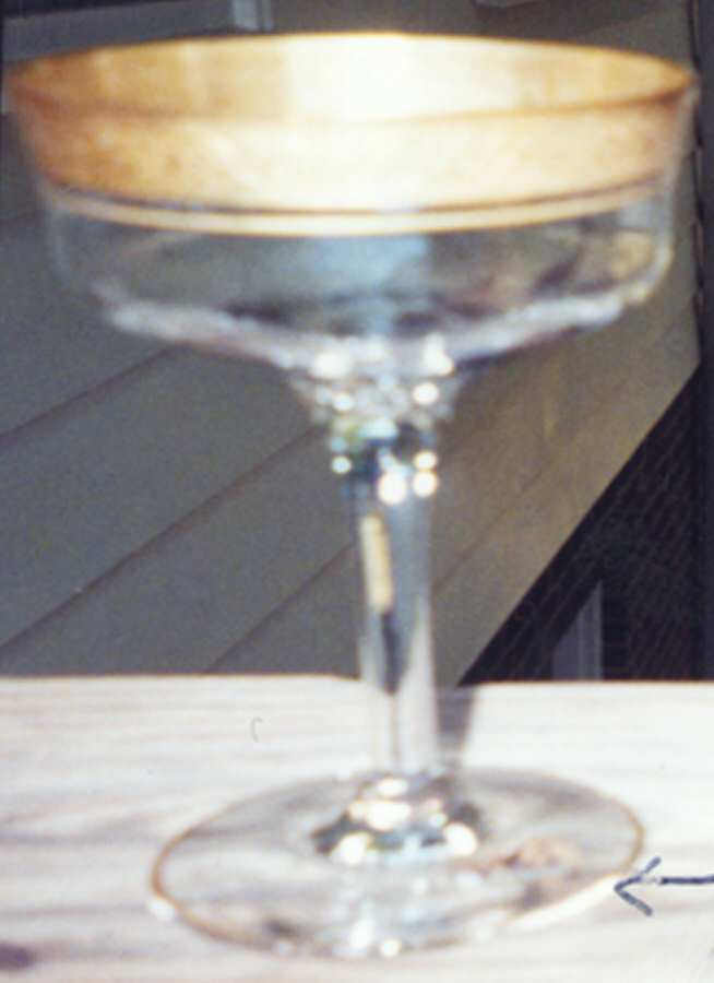 UNK504 Champagne/Tall Sherbet by Unknown Manufacturer-1
