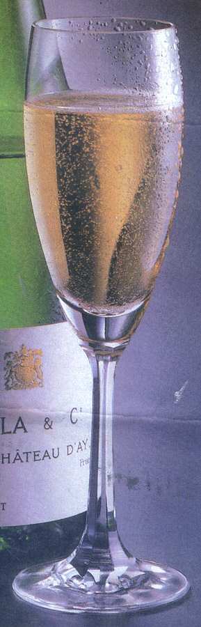 Gotham Fluted Champagne by Unknown Manufacturer-1
