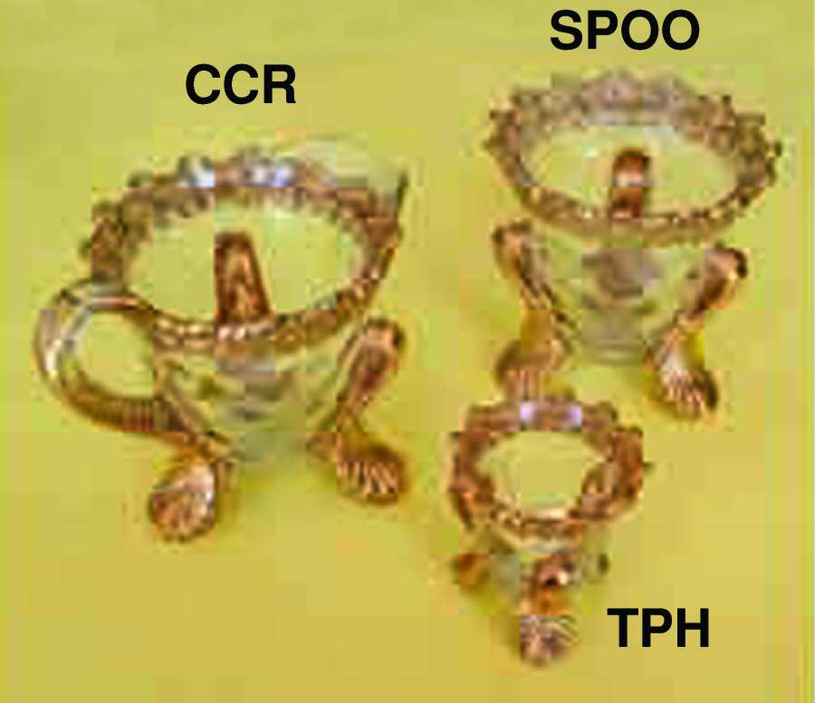 Honeycomb with Flower Clear (Gold Trim) Creamer by US Glass-1