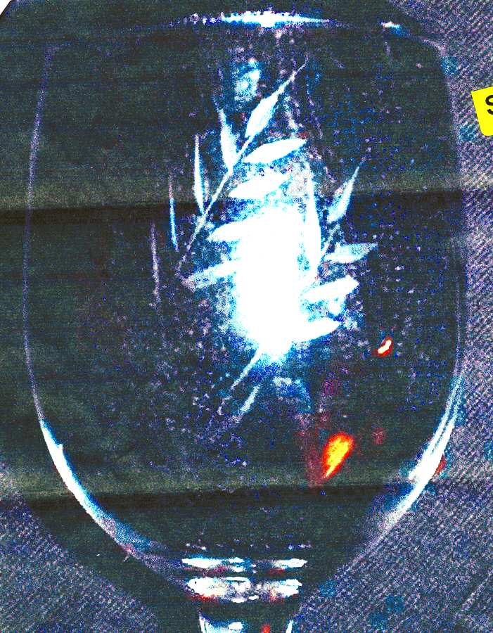 UNK4014 Water Goblet by Unknown Manufacturer-1