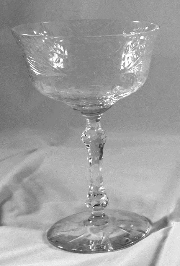 UNK2768 Champagne/Tall Sherbet by Unknown Manufacturer-1