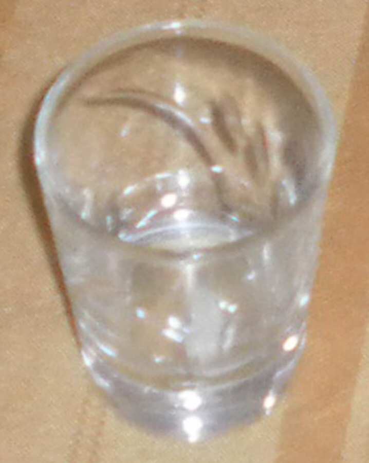 UNK5085 Whiskey Glass by Unknown Manufacturer-1