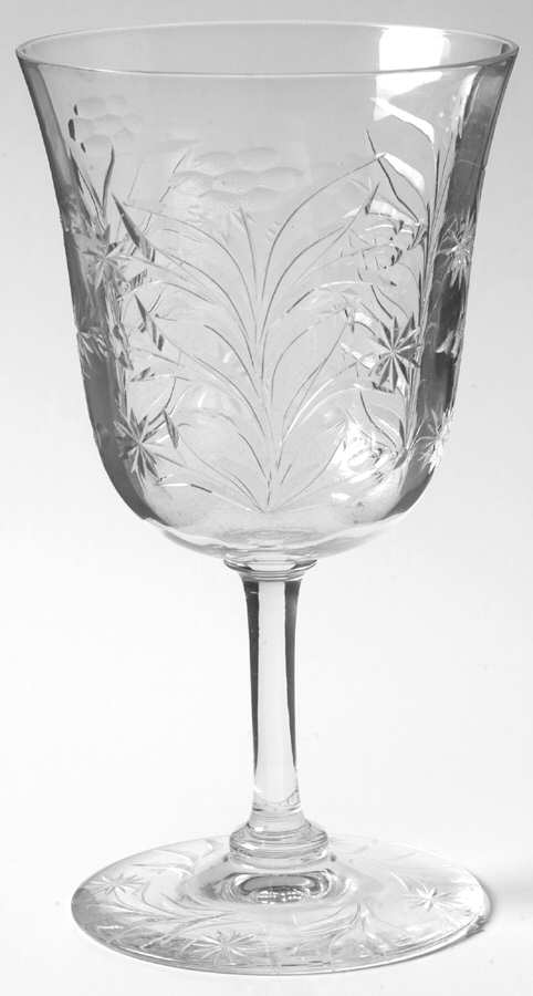 UNK3673 Water Goblet by Unknown Manufacturer-1