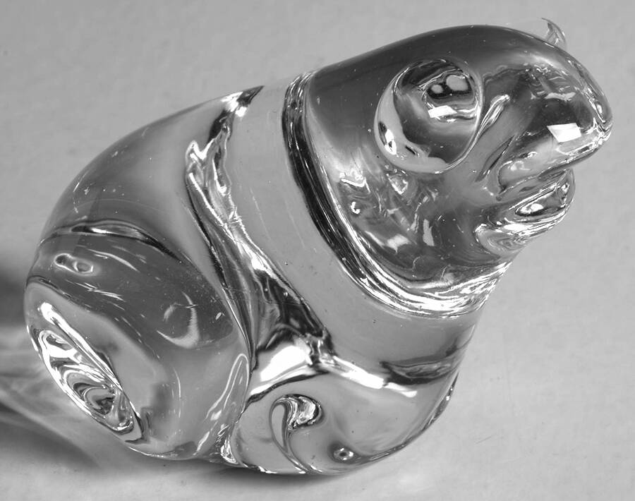 Animals & Figurines (Clear) Frog Figurine by Unknown Manufacturer-1